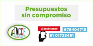 presupuestos sin compromisos